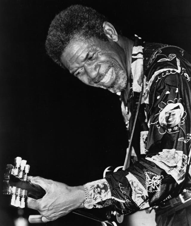 Luther Allison image