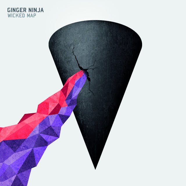Ginger Ninja image
