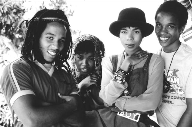 Ziggy Marley & The Melody Makers image