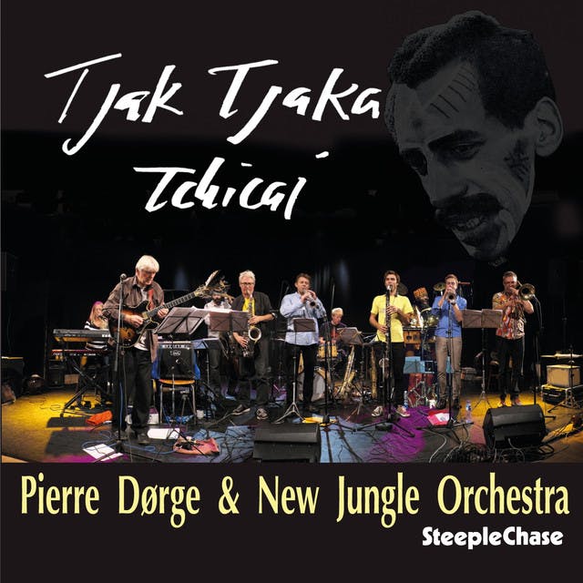 Pierre Dørge & New Jungle Orchestra image