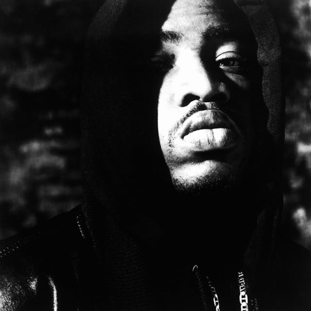 Lord Finesse image