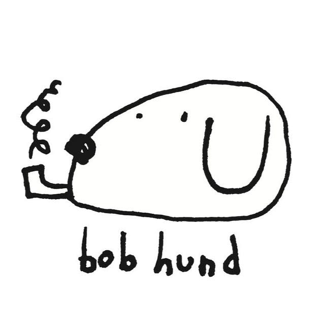 Bob Hund image