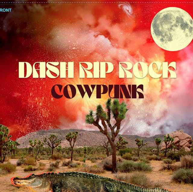Dash Rip Rock image