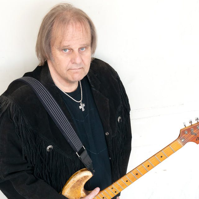 Walter Trout image