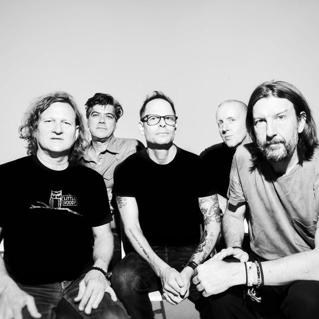 Gin Blossoms image