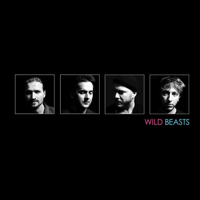 Wild Beasts image