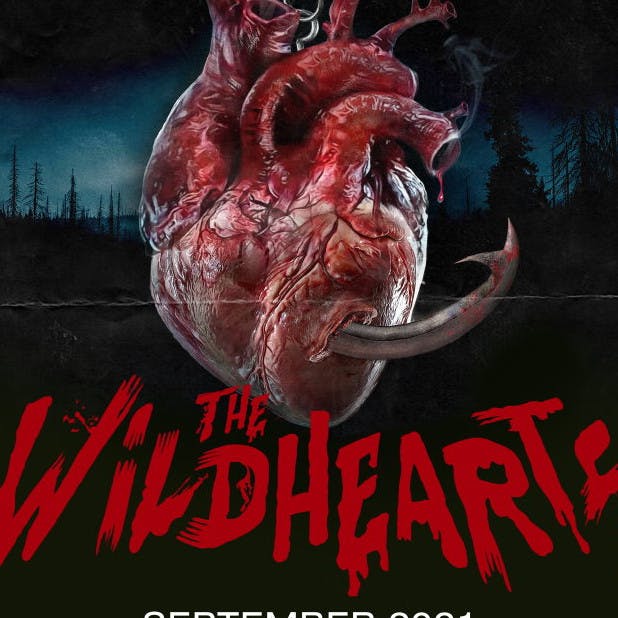 The Wildhearts image