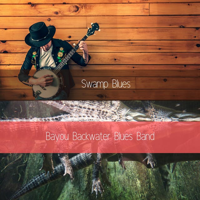 Bayou Blues Band image