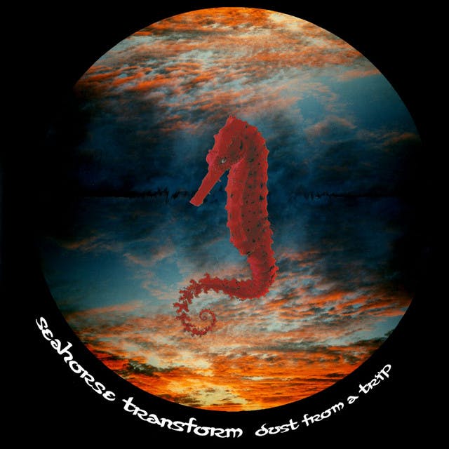 Seahorse Transform image