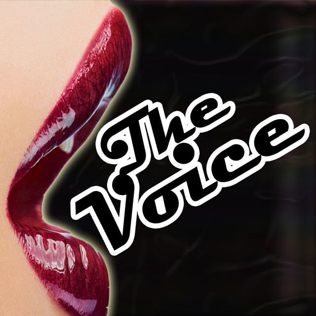 Voice DJs image