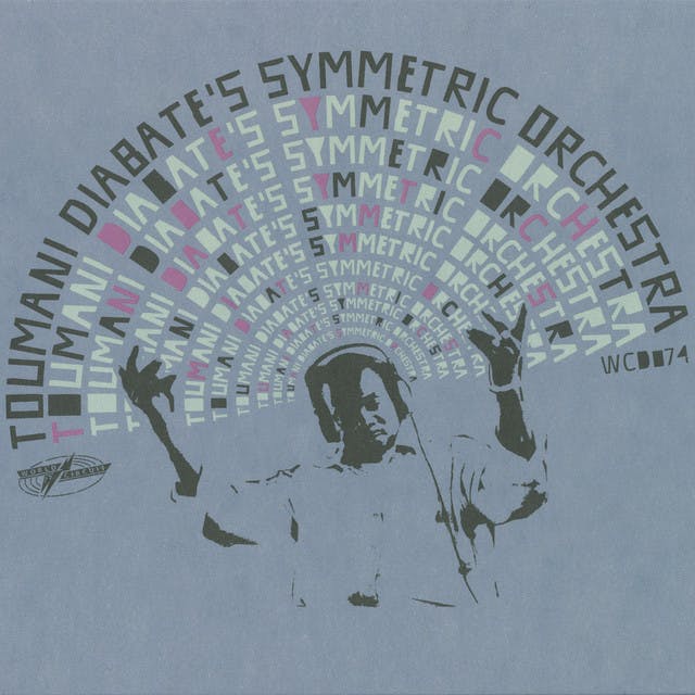 Toumani Diabaté's Symmetric Orchestra