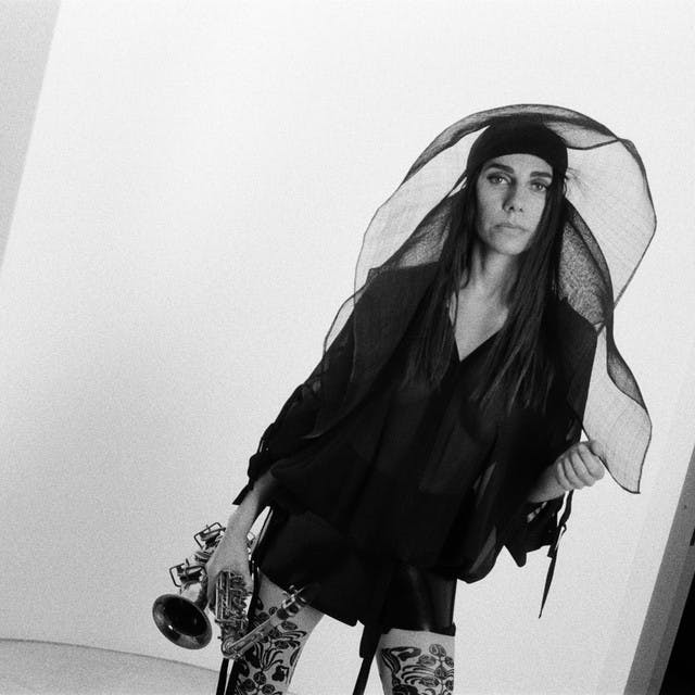 PJ Harvey image