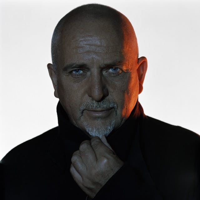 Peter Gabriel image
