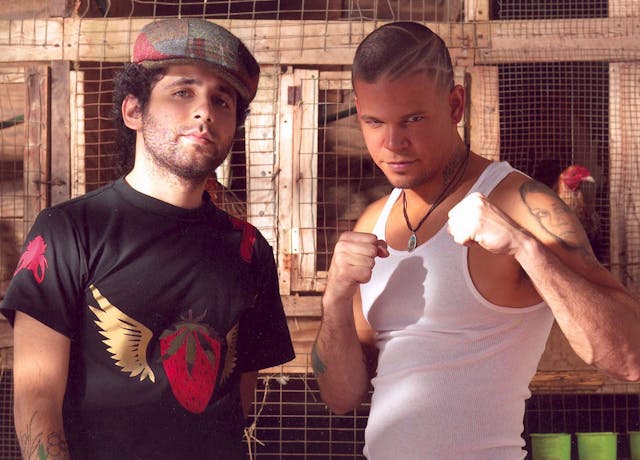 Calle 13 image