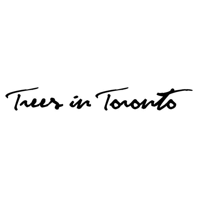 Trees In Toronto