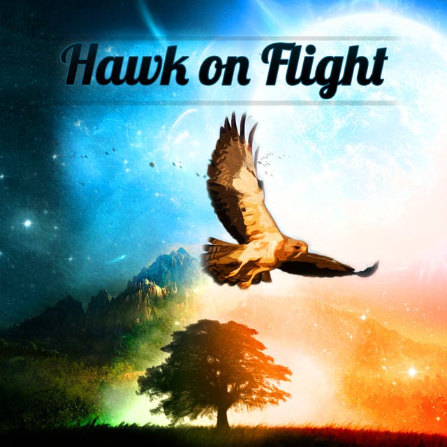 Hawk On Flight image